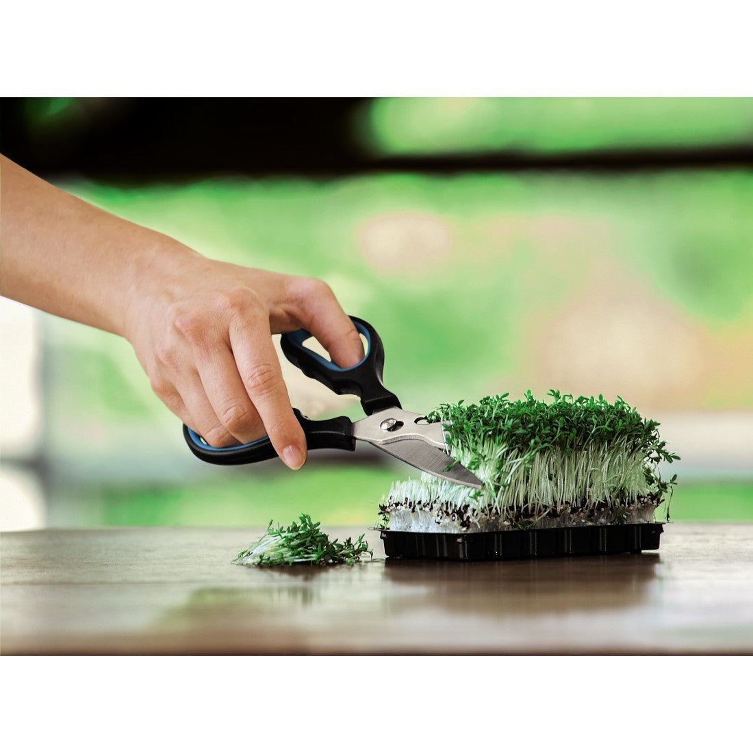 XAVAX 111546 Universal Scissors, Sorted by Colour, 24 Pcs in Display