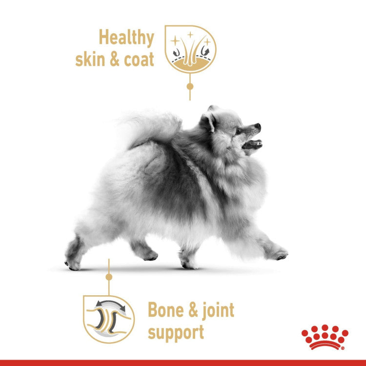 Royal Canin Breed Health Nutrition Pomeranian - 12 Wet Food Pouches