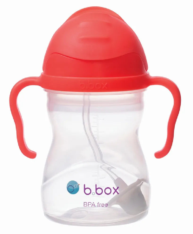Watermelon Sippy Cup (240ml)