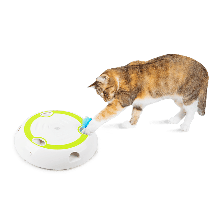 All For Paws Interactive Cat Wack 'A' Feather