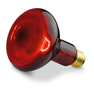 BEURER IL11 REPLACEMENT BULB 100W – XHAWI