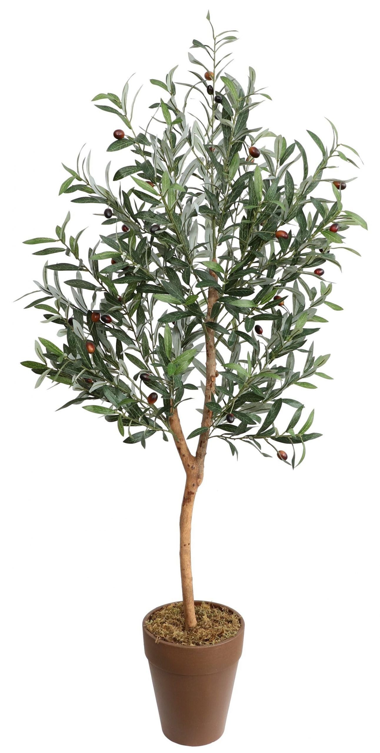 150cm Realistic Tall Olive Tree #A478150