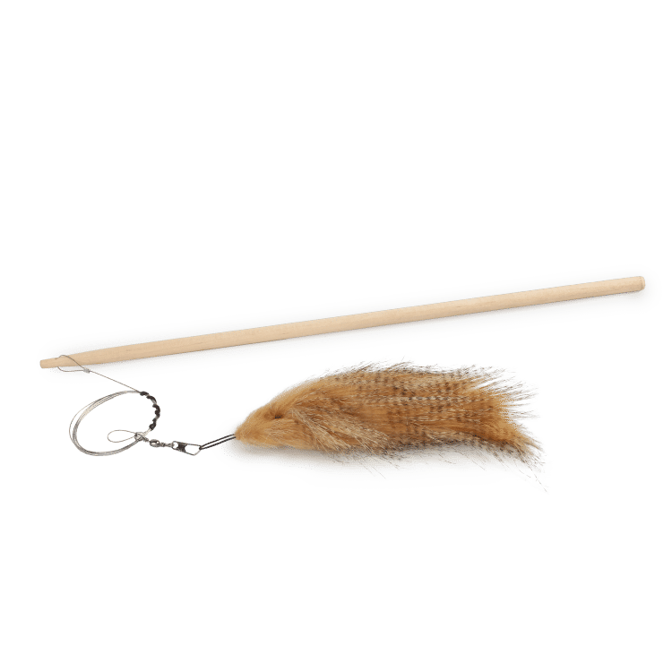 All For Paws Classic Comfort Fish Cat Wand - Set