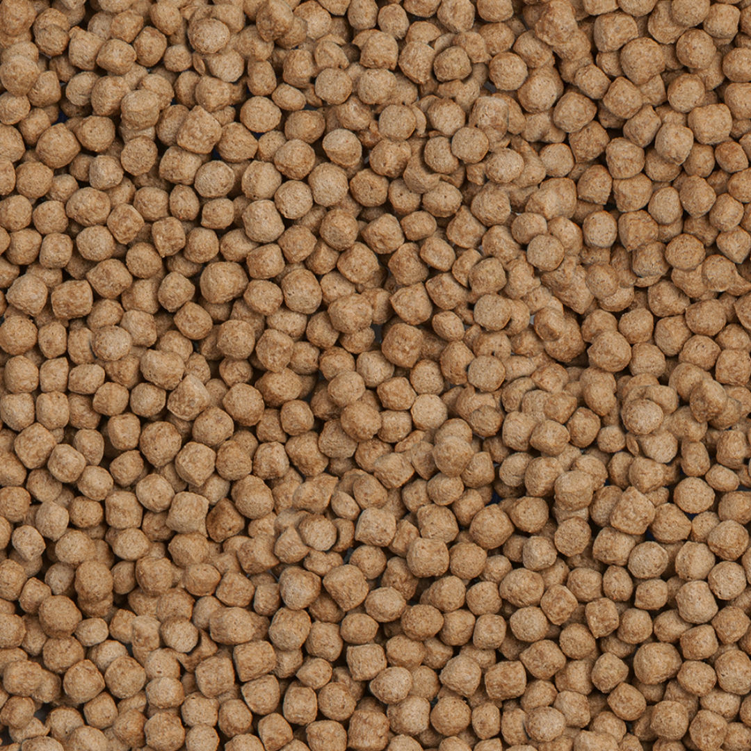 Sera Koi Royal Mini Nature Feed for All Koi, 1000ml