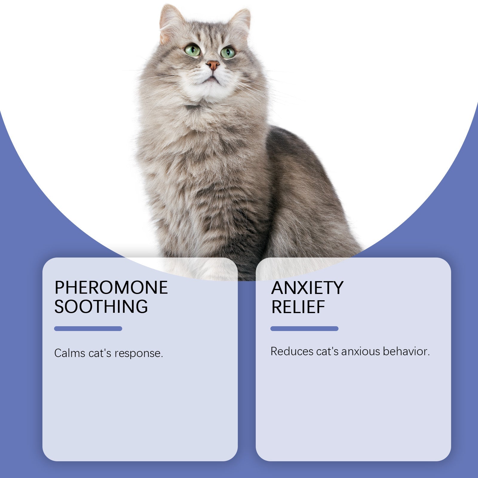 Cat Care Spray, Calm Anxiety, Pheromone Comfort, Reduce Scratching ,30ml/box