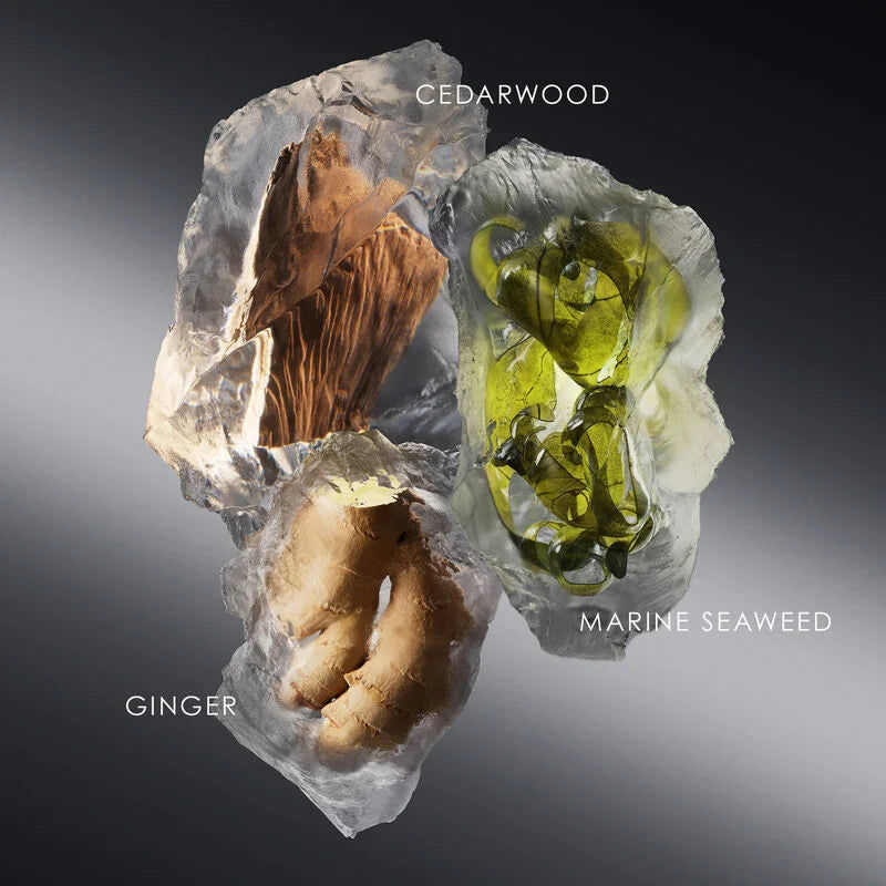 Le Sel D'issey Eau de Toilette 100ml