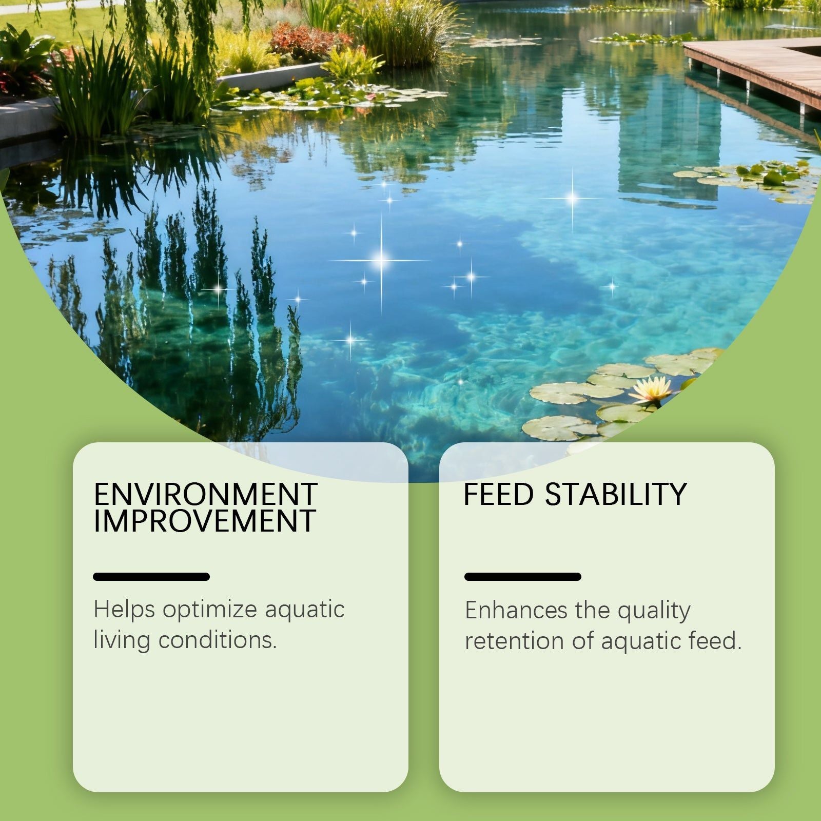 Boost Water Quality with Feed Additive Powder, Odor Control, Easy Use ,100g