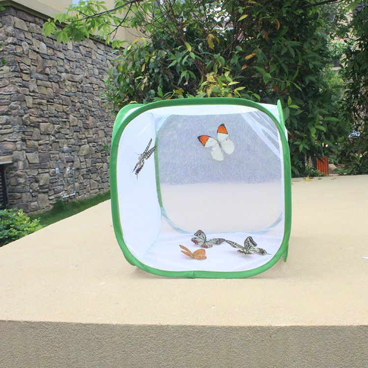 Collapsible Butterfly Habitat Butterfly Cage Insect Mesh Plant Cage