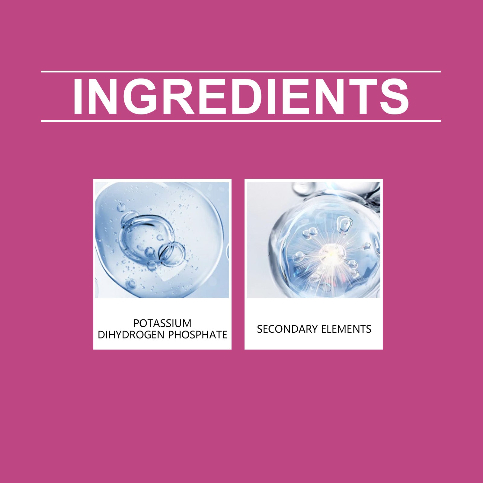 Boost Flowering with Nutrition Powder, Fast-Acting Plant Fertilizer for Vibrant Blooms ,1set