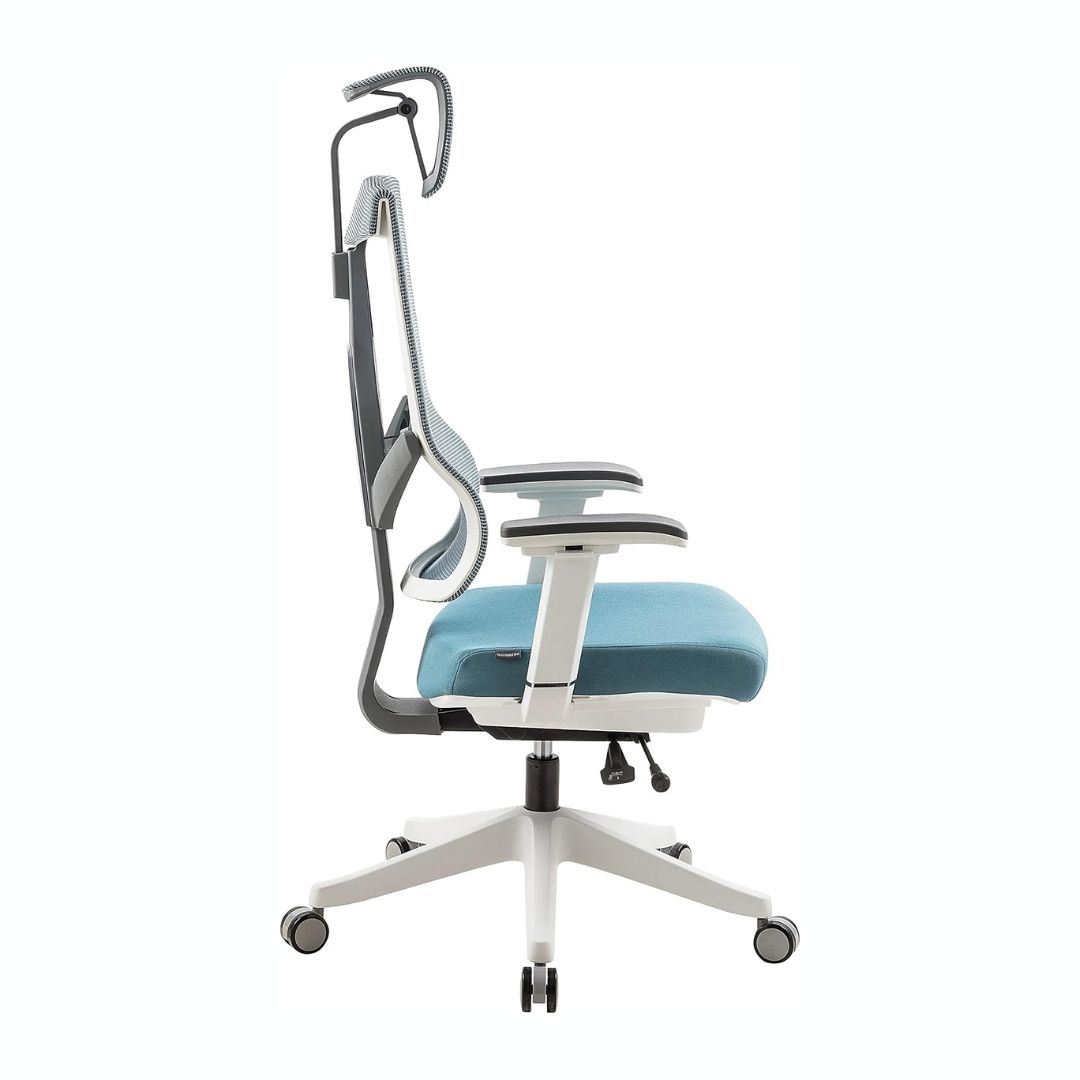 Navodesk AERO Chair, Premium Ergonomic Office & Computer Chair with 3D Armrests, High Back Executive Chair with Multi-adjustable, Marine Blue