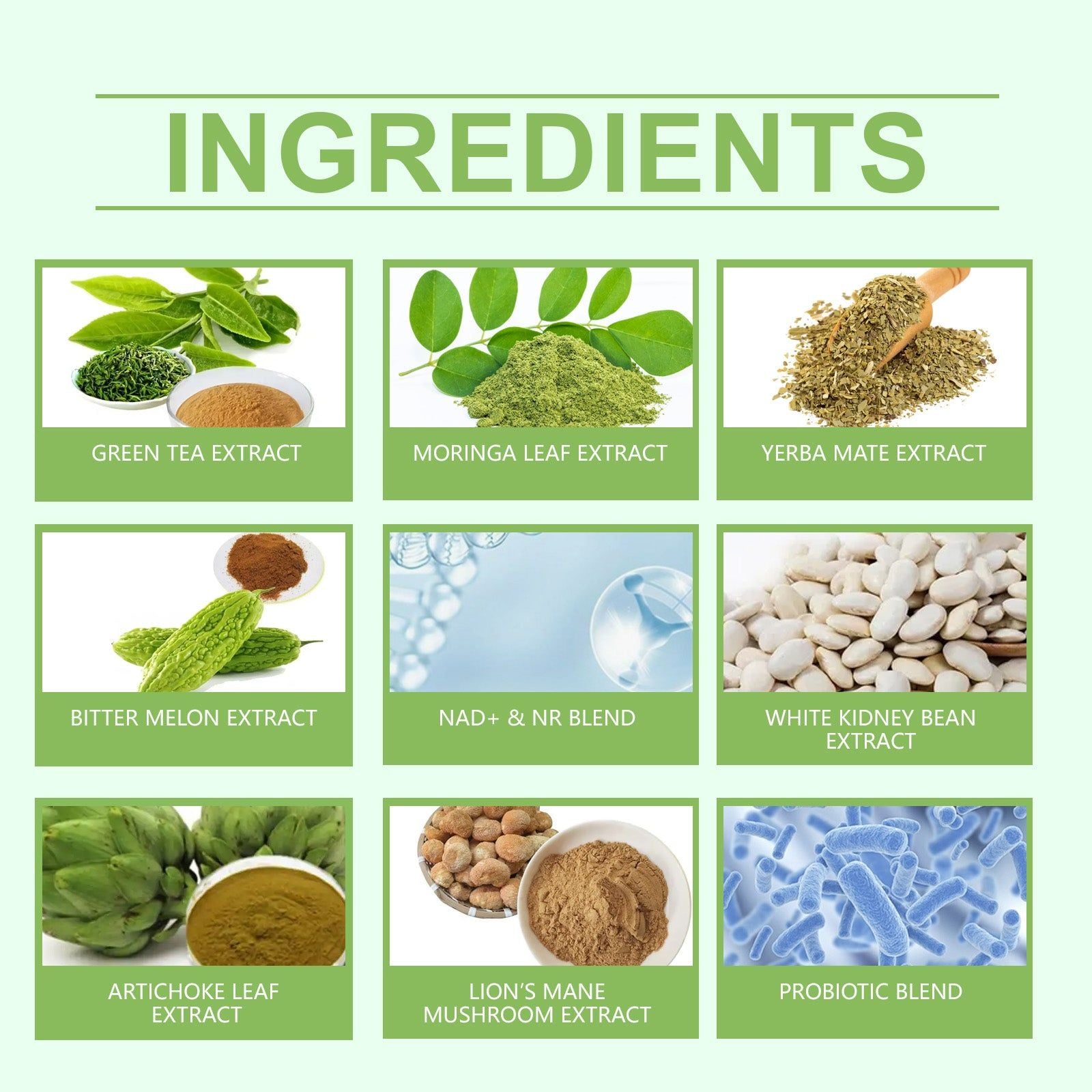 Boost Your Body Care with GLP-1 Moringa Drops, Regulate Sugar, Burn Fat ,30ml