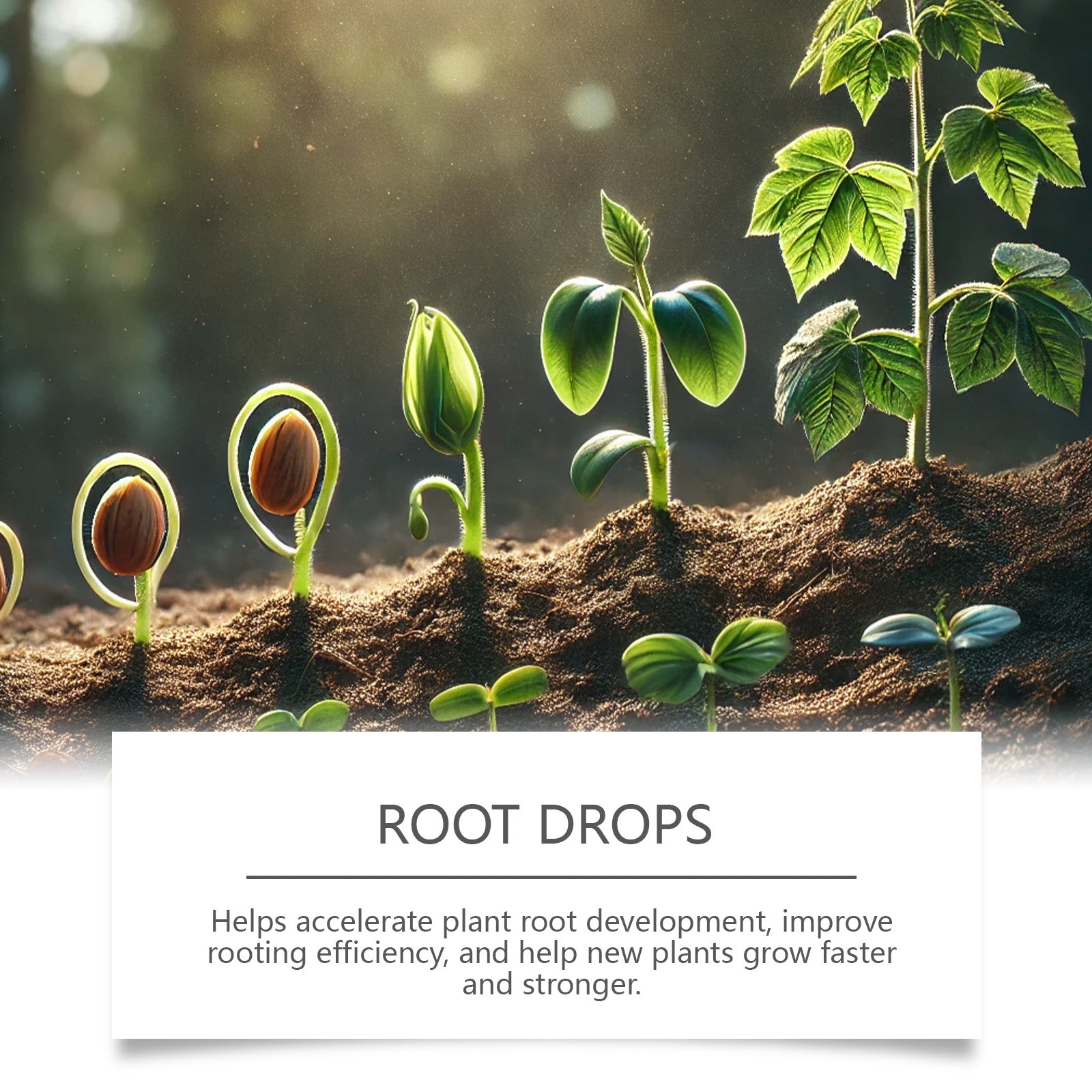 Boost Plant Rooting Drops, Fast Root Growth, Fertilizer for Plants, Flowers, Vegetables ,100ml