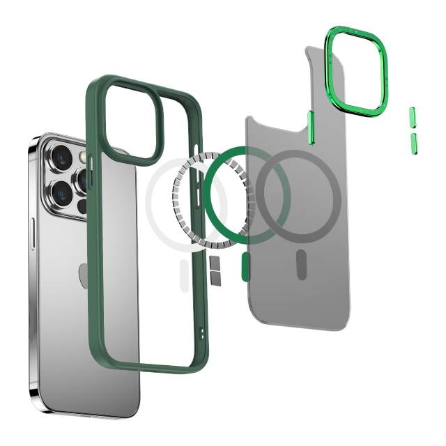 Green Lion Charles Magsafe Case