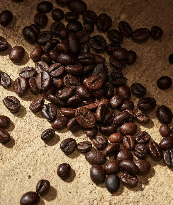 Devotion for Men Eau de Parfum