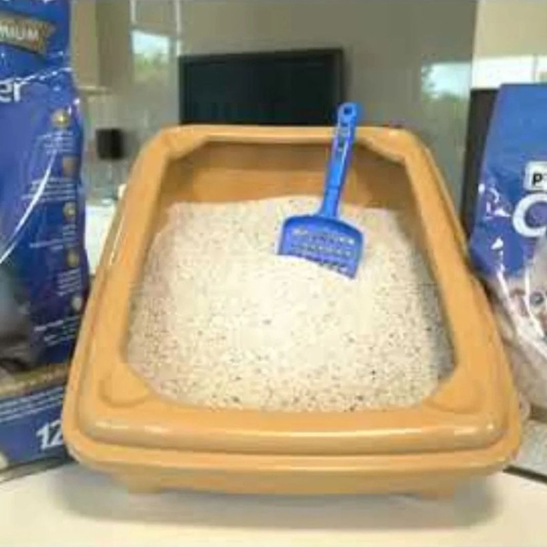 Patimax Premium Ultra Clumping Cat Litter