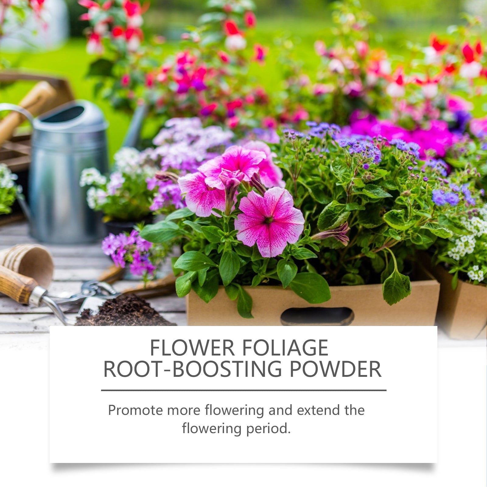 Boost Flowering and Leaf Growth with Top-Rated Flower Enhancement Powder, Dark Green Leaves, Easy to Use ,100g
