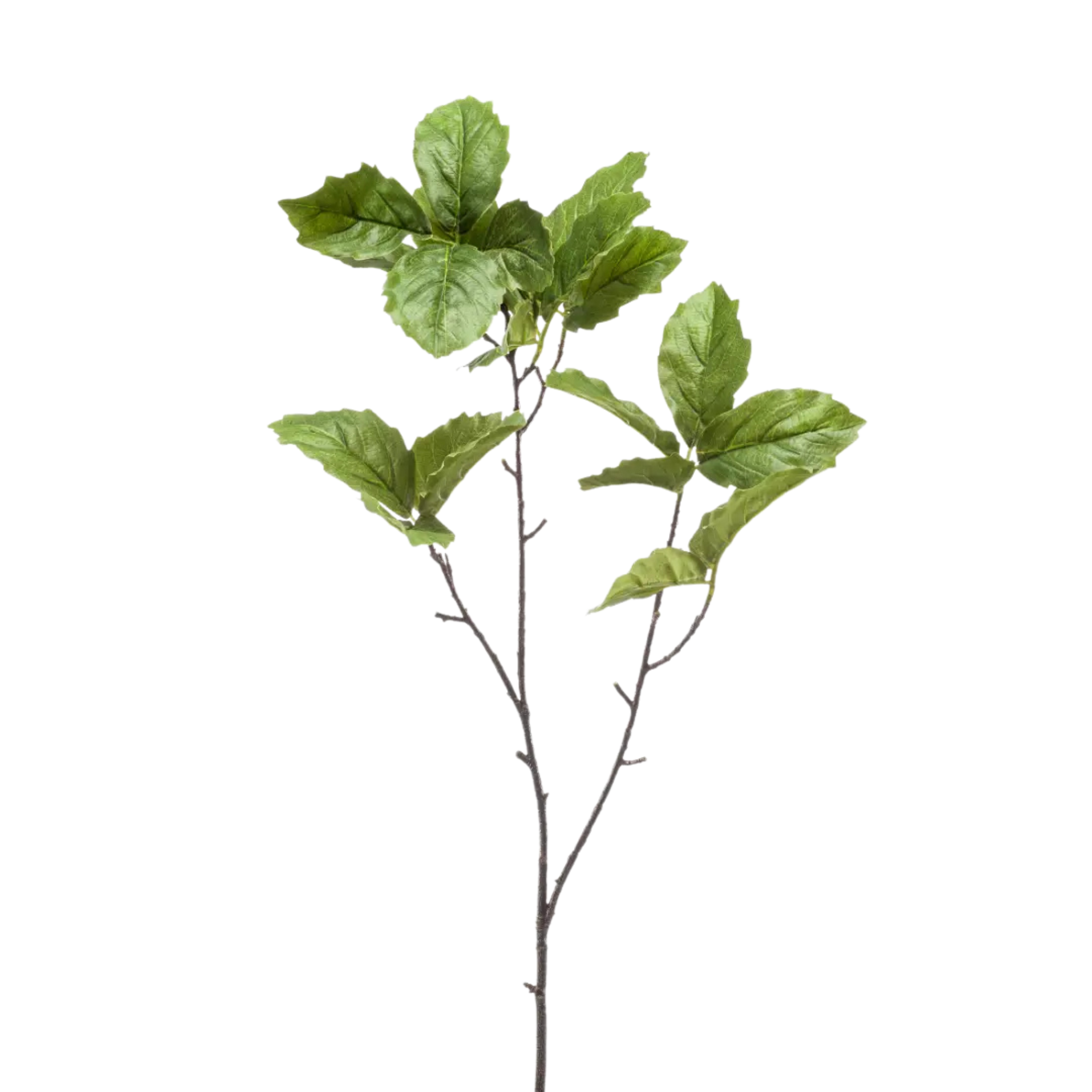 Chestnut Leaf Spray Green