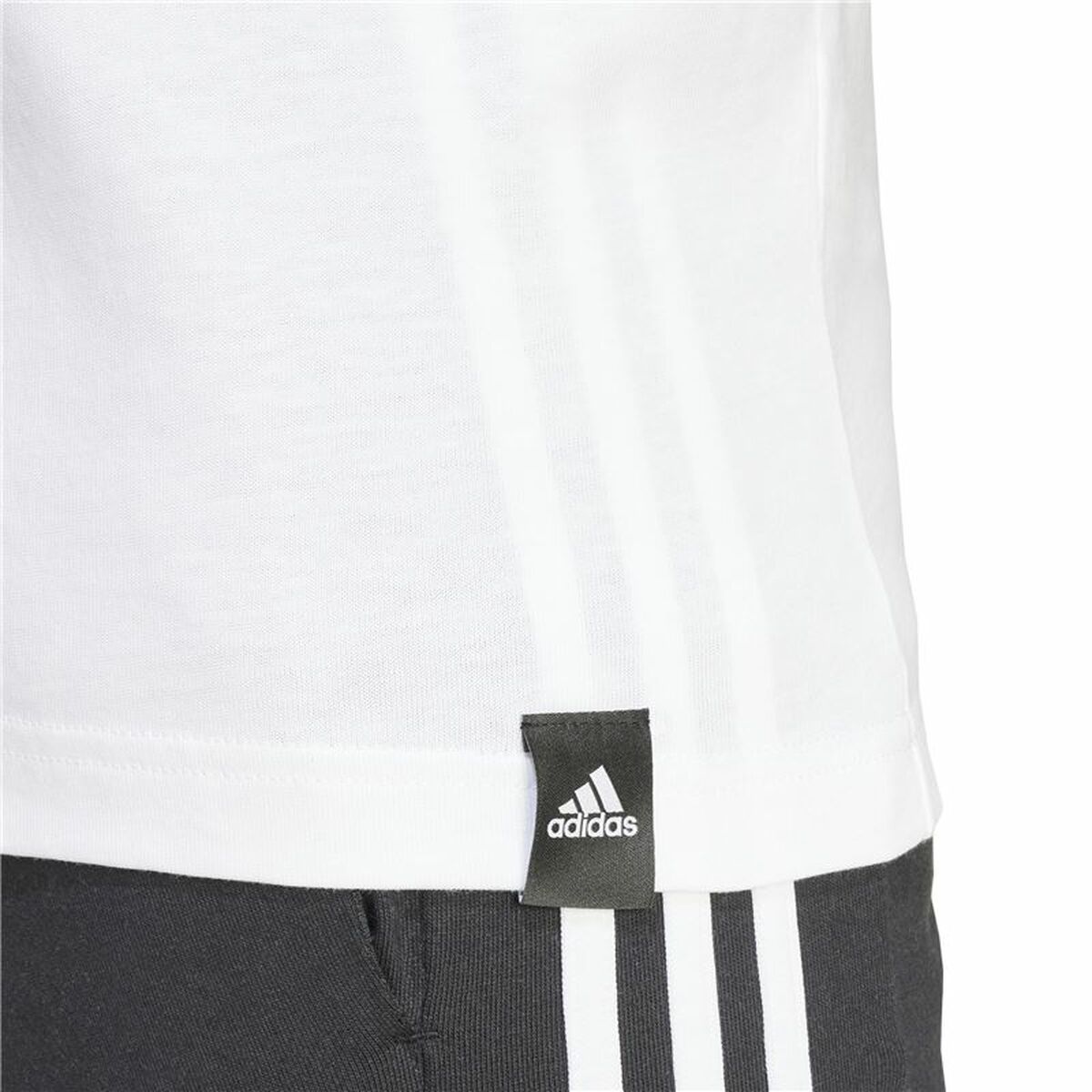Men’s Short Sleeve T-Shirt Adidas Codes Bos Graphic White