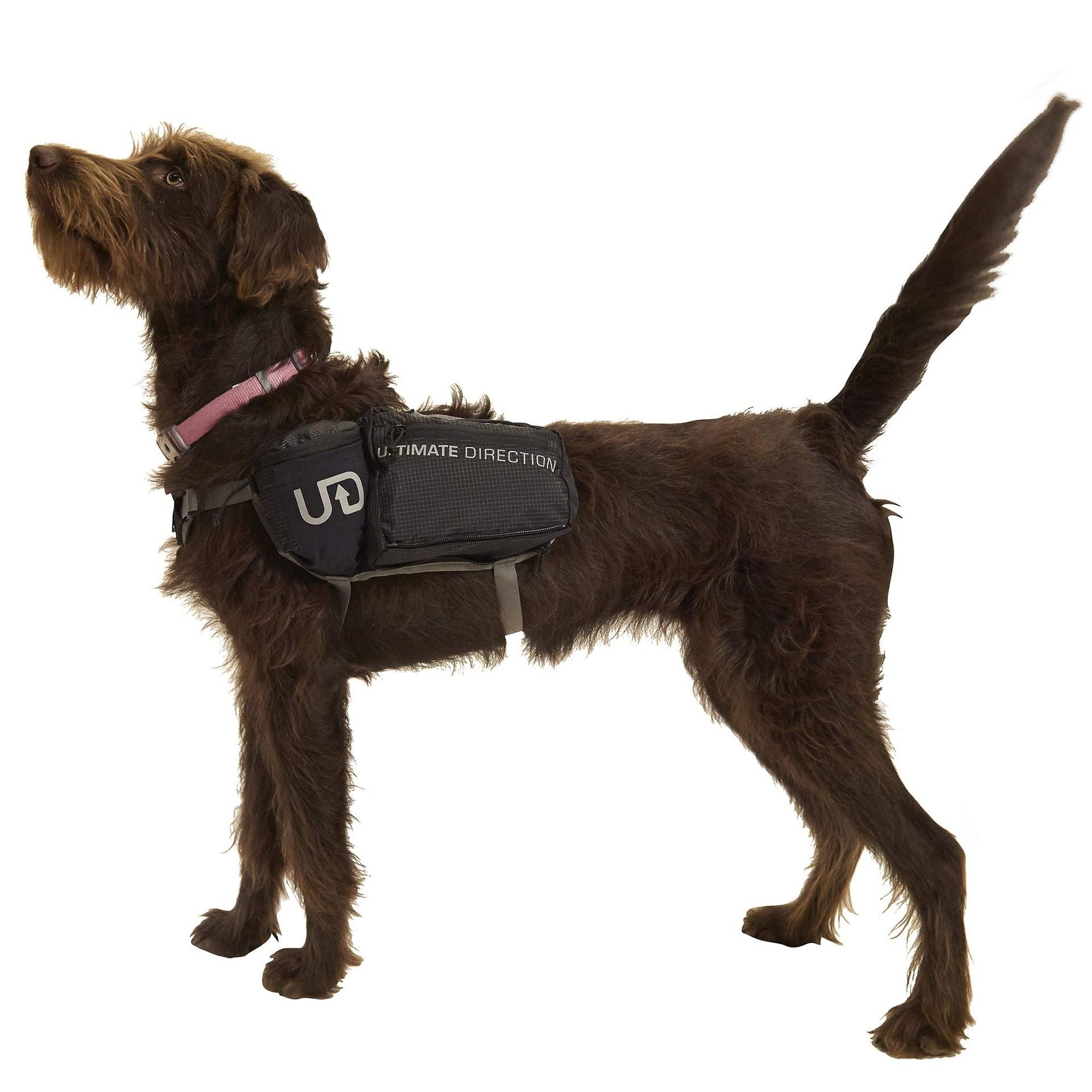 Ultimate Direction Dog Vest, Size Small, Black