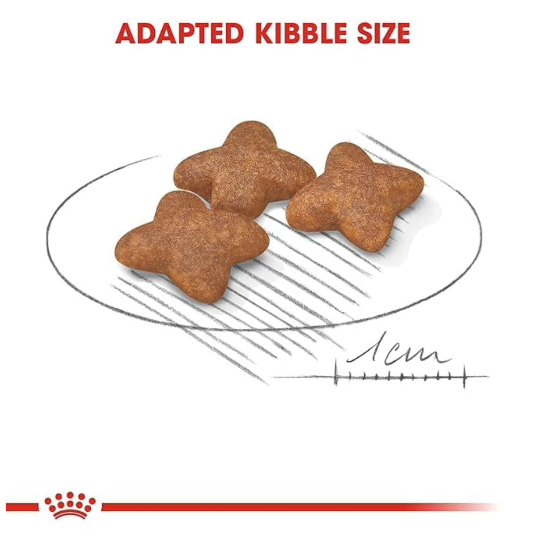 Royal Canin Size Health Nutrition Mini Adult Dry Dog Food