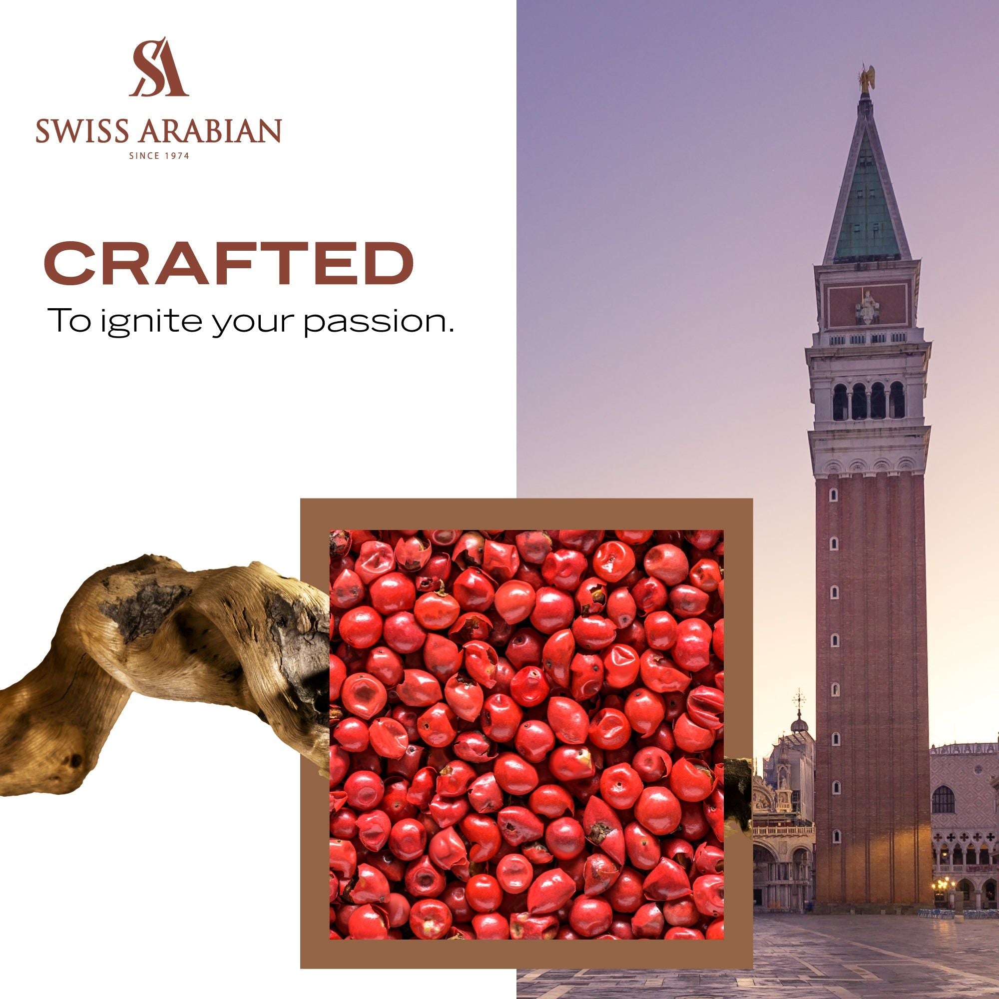 PASSION OF VENICE