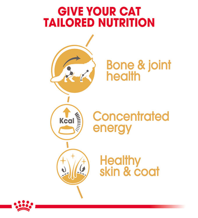 Royal Canin Feline Breed Nutrition Maine Coon - 12 Wet Food Pouches