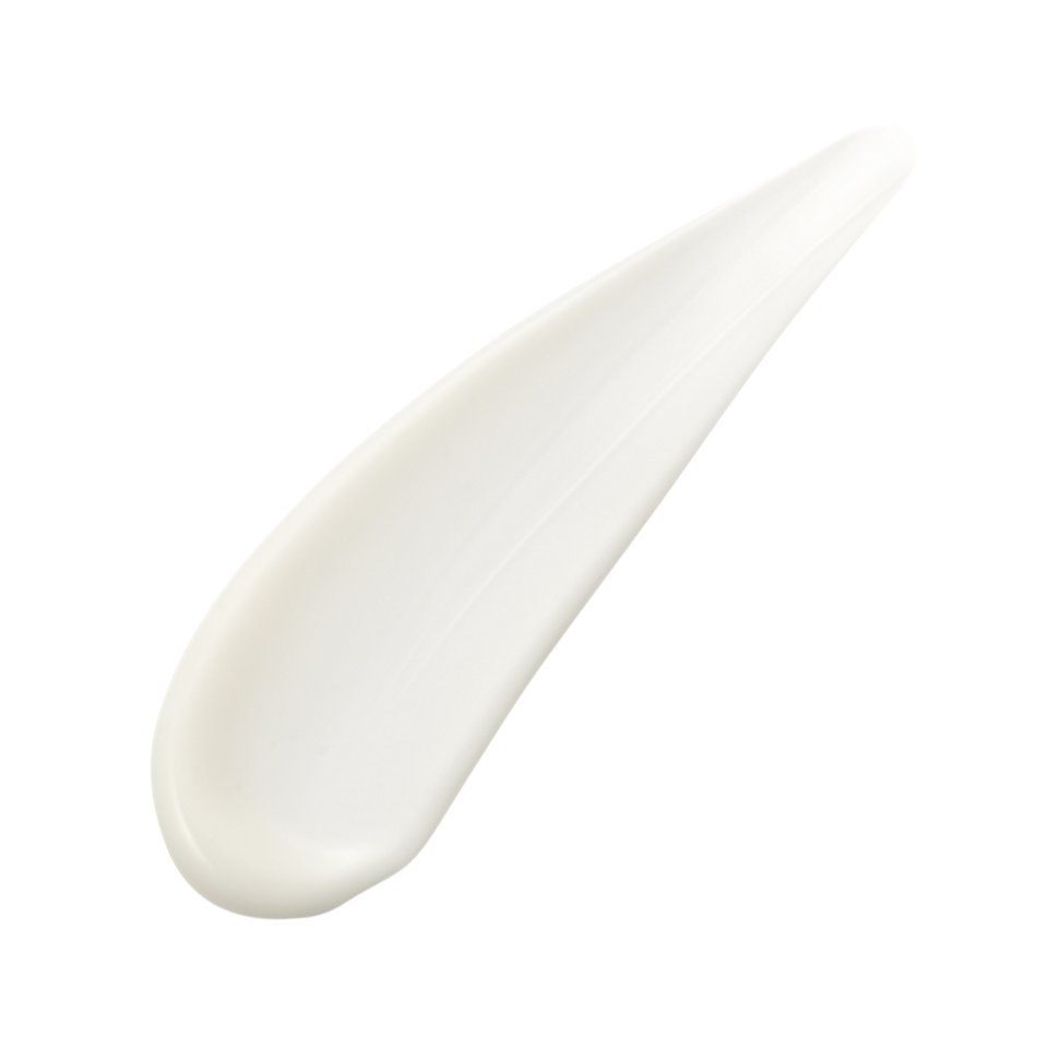Absolute Silk Fluid 80ml