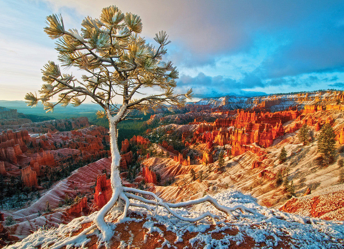 Winter Sunrise-1000 Pcs