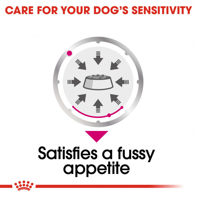 Royal Canin Canine Care Nutrition Exigent - 12 Wet Food Pouches