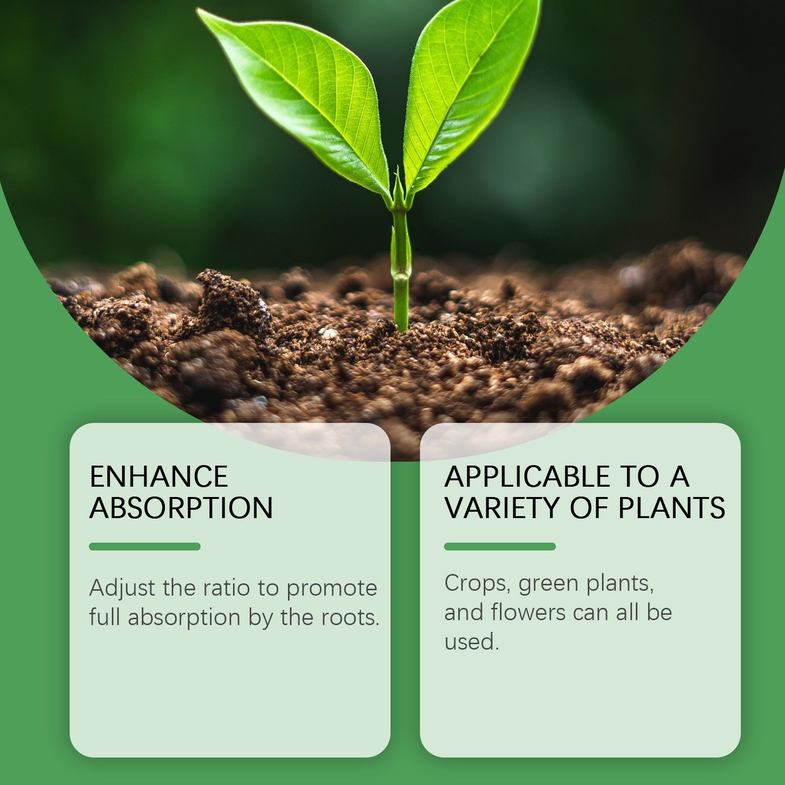 Boost Plant Growth with Horticultural Nutrition Root Powder, Easy Foliar & Drip Application ,100g