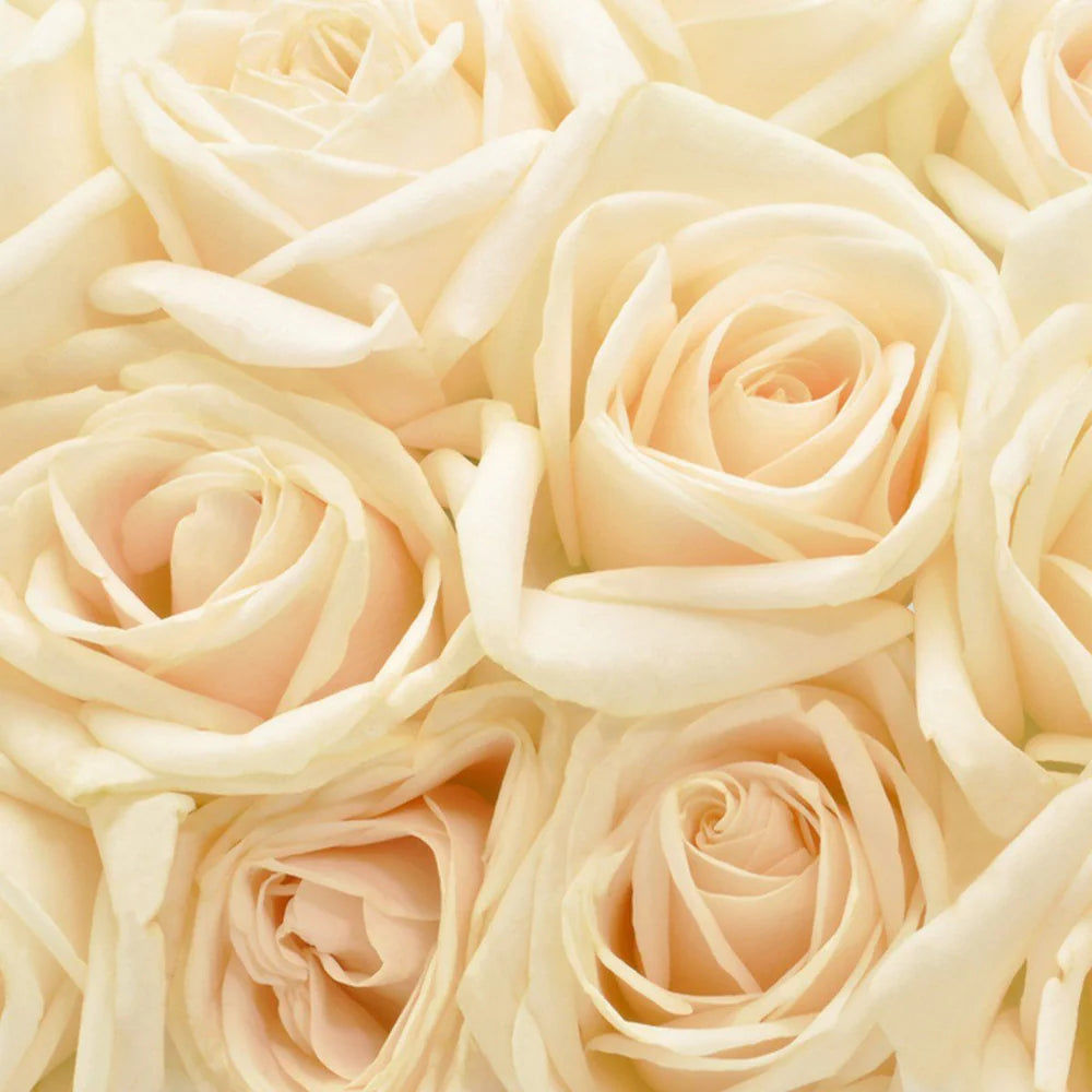 Patchouli Hair Mist 50ml