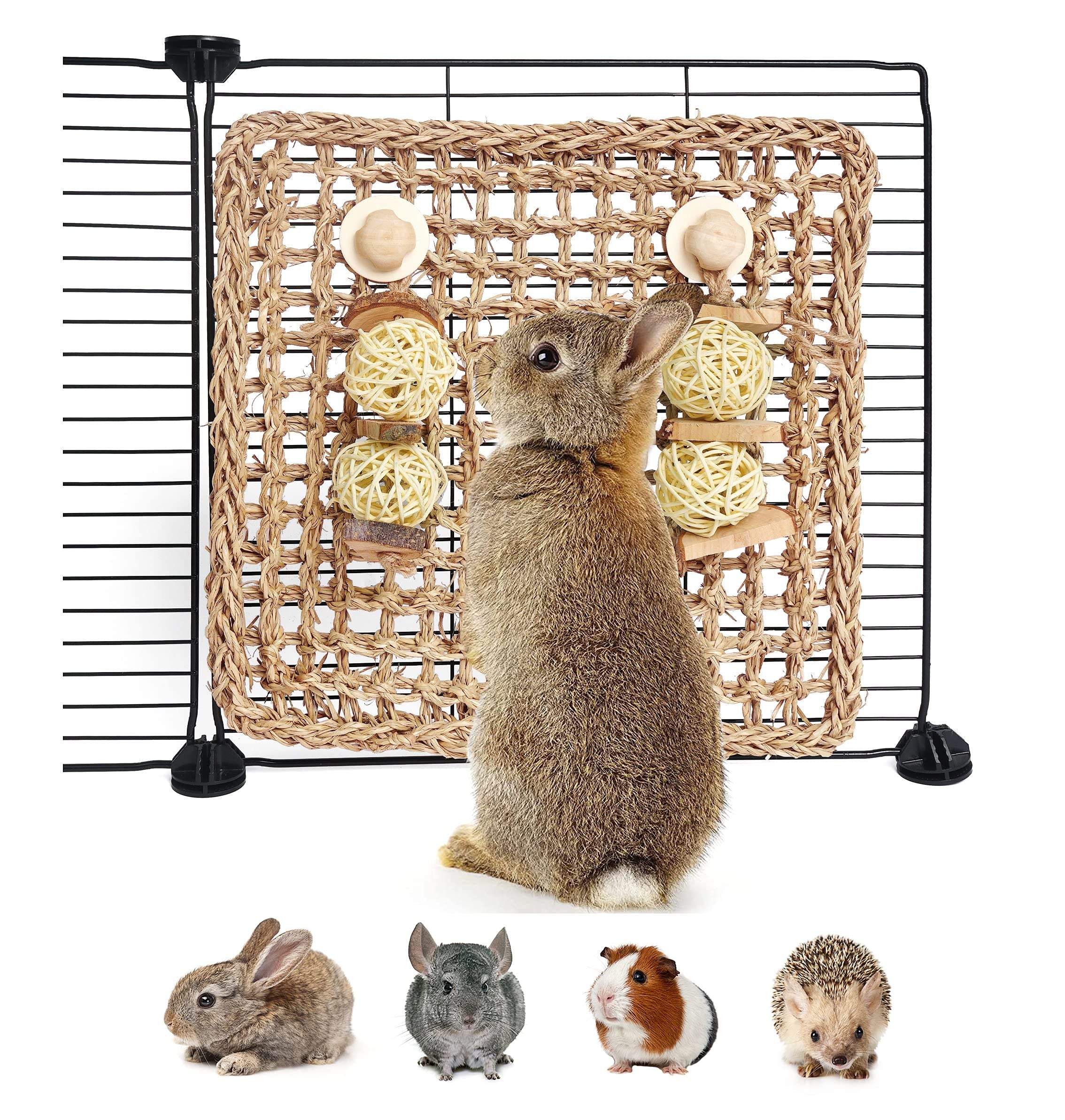 Rabbit Chew Toy Natural Pet Molar Toy Climbing Net For Parrot Chinchilla Hamster