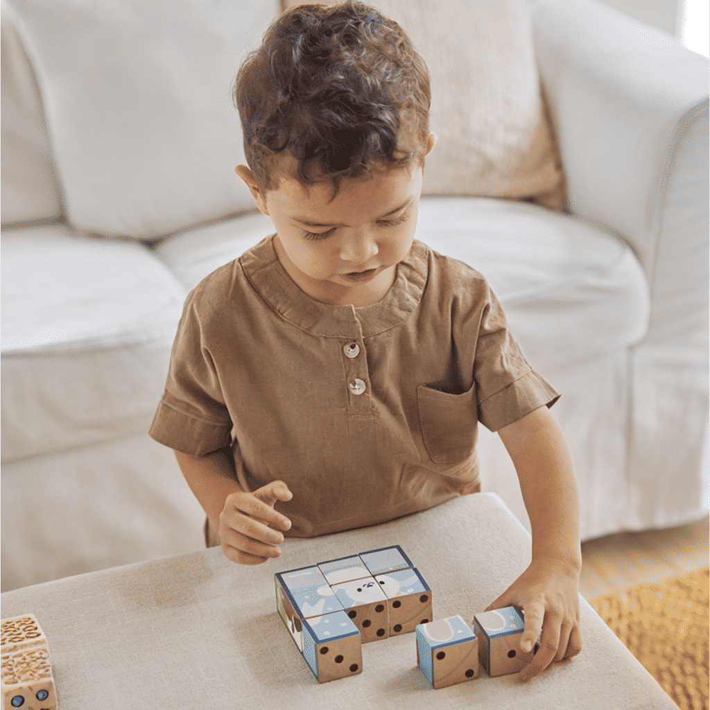 PlanToys Animal Puzzle Cubes