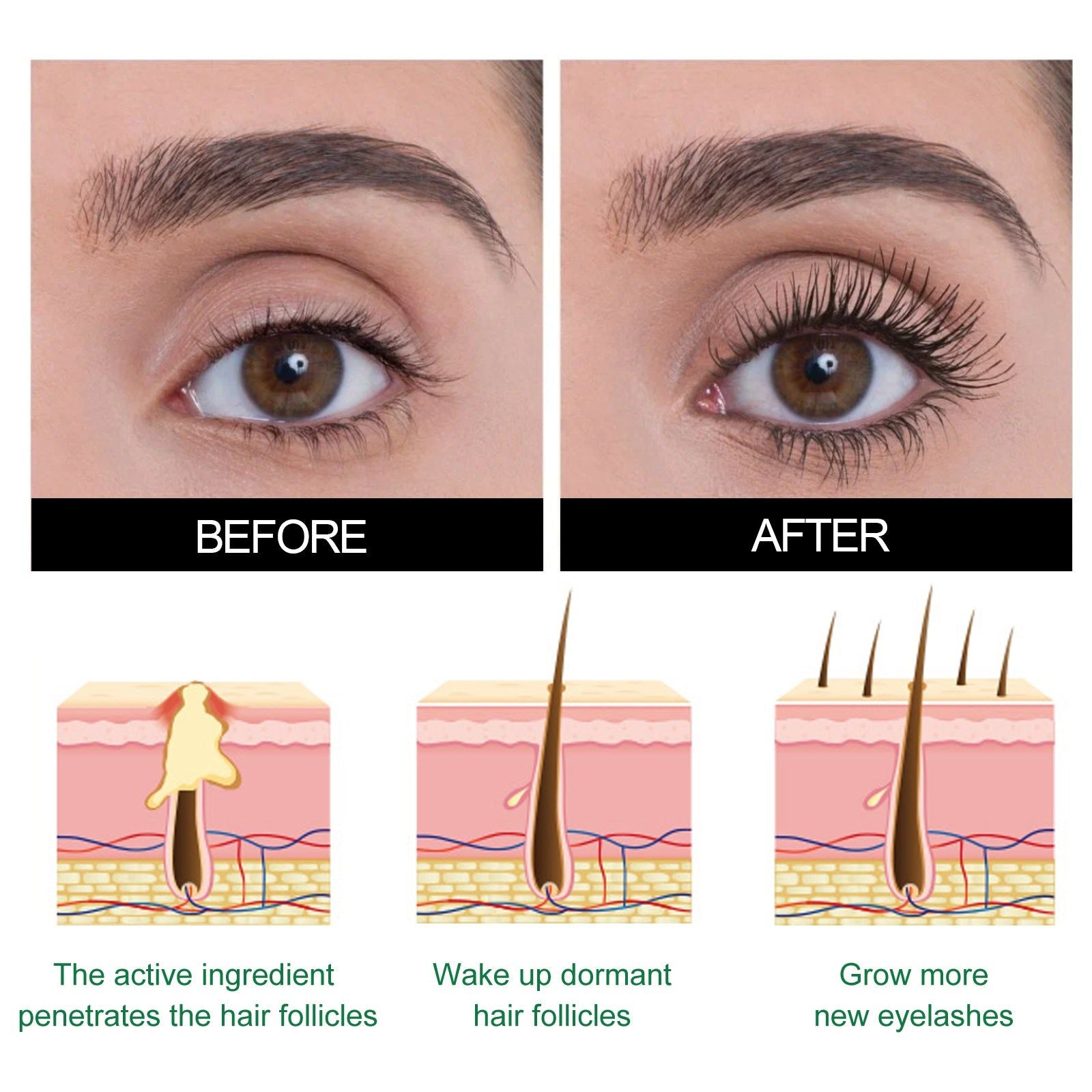 Eyelash Serum for Slender, Curled, Natural, Voluminous, Lash Growth ,30ml