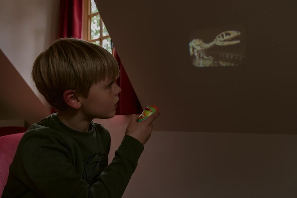 Projector & Light / Dino