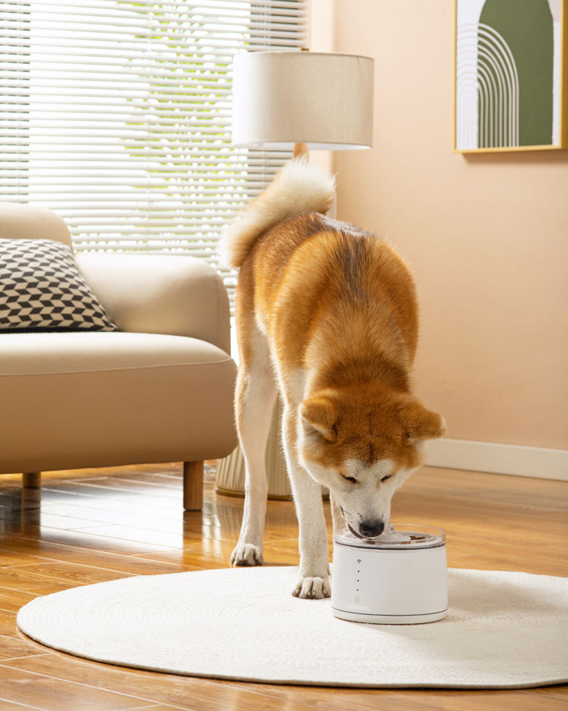 Dogness Smart Water Feeder For Pets (App Controlled)-White