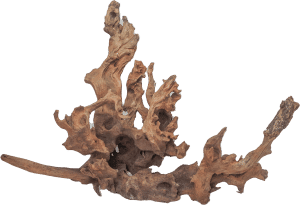 Drift Wood