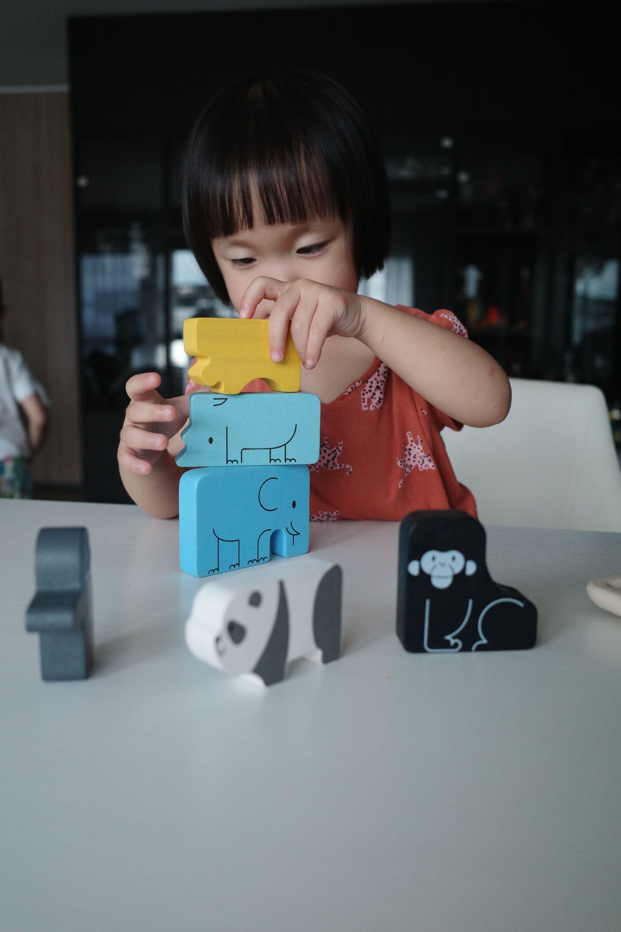 Animal Puzzle Game