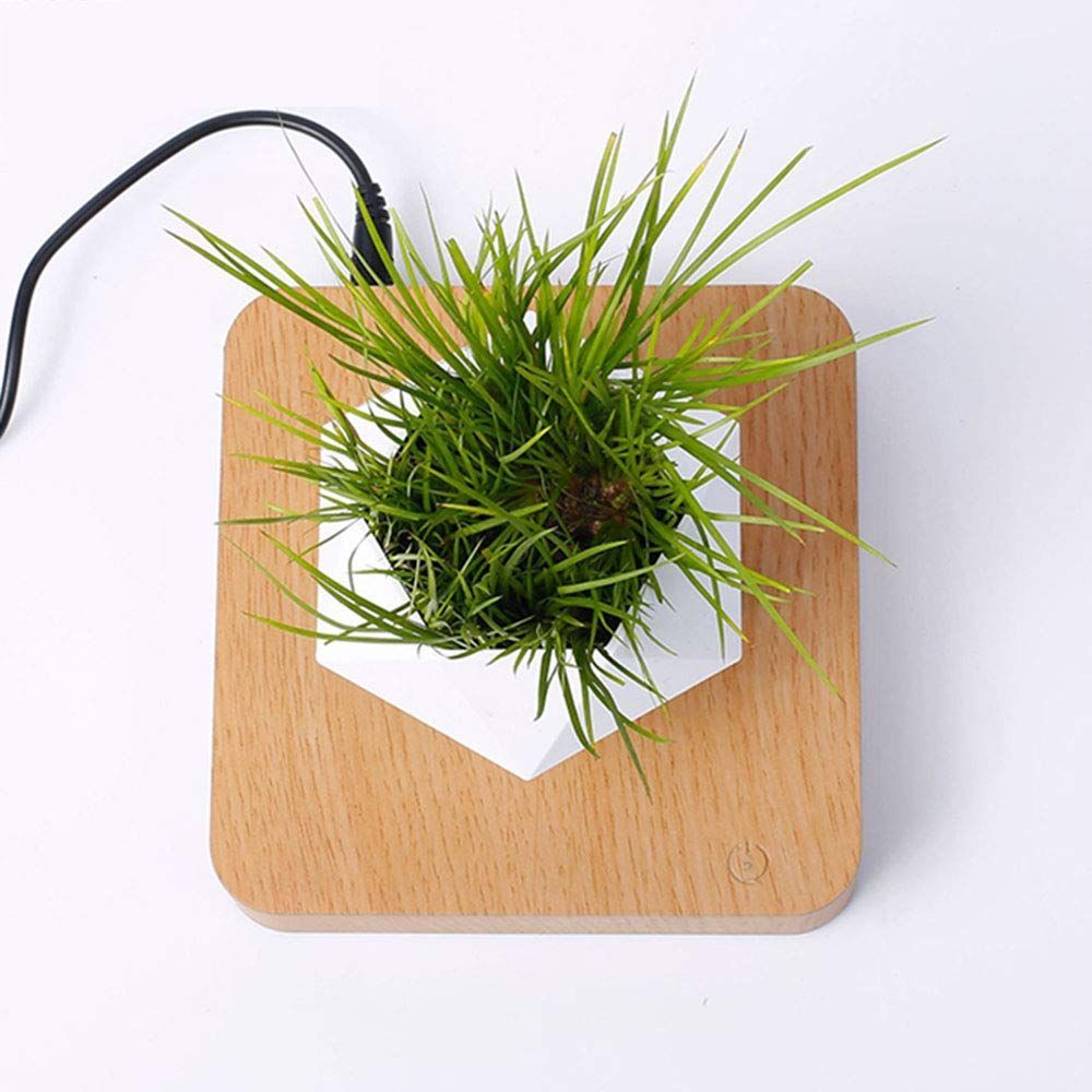 Levitating Air Bonsai Pot Magnetic Levitation Floating Pot Potted Plant Desk Dcor