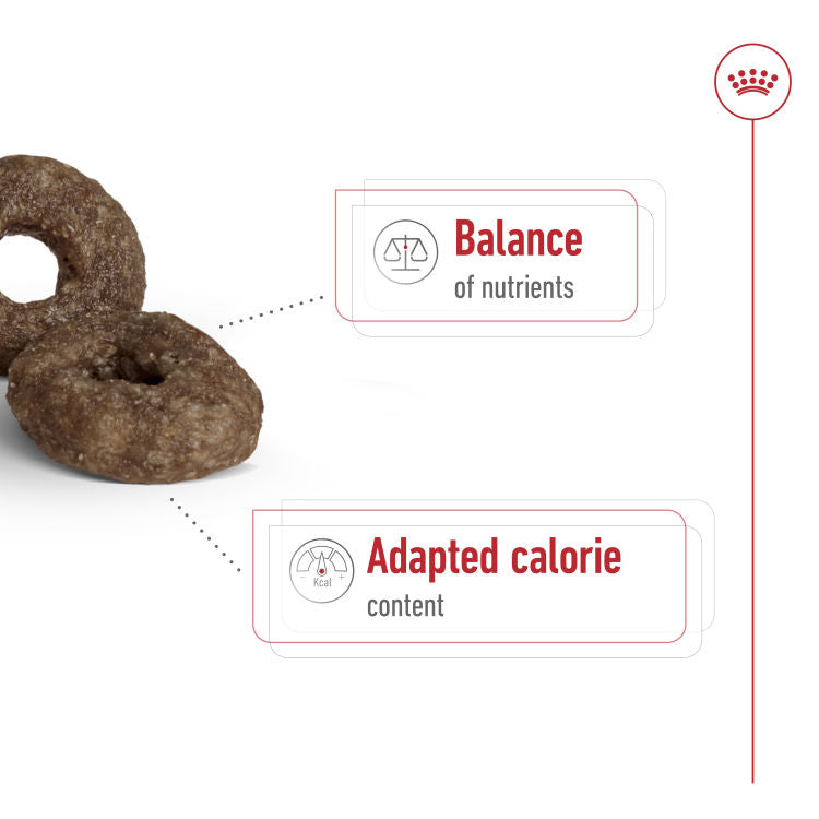 Royal Canin Size Health Nutrition Mini Ageing 12+( 1.5 KG)