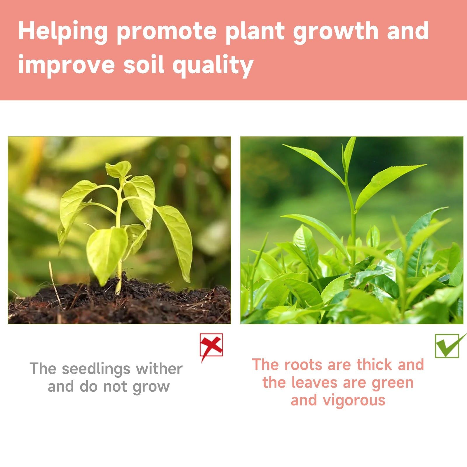 Boost Plant Growth with Premium Liquid Fertilizer, Nutrient Solution for Healthy Roots ,100ml