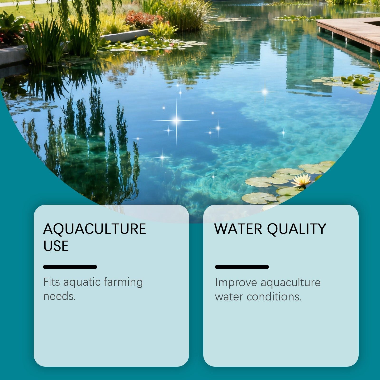 Boost Water Quality with Microbial Powder for Aquaculture, Odor Control, Bottom Improvement ,100g