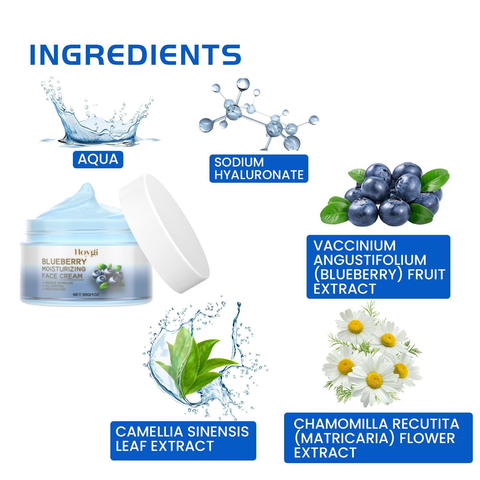 Blueberry Brightening Cream, Anti-Aging, Hydrating, Lighten Skin Tone, Wrinkle Repair ,30g