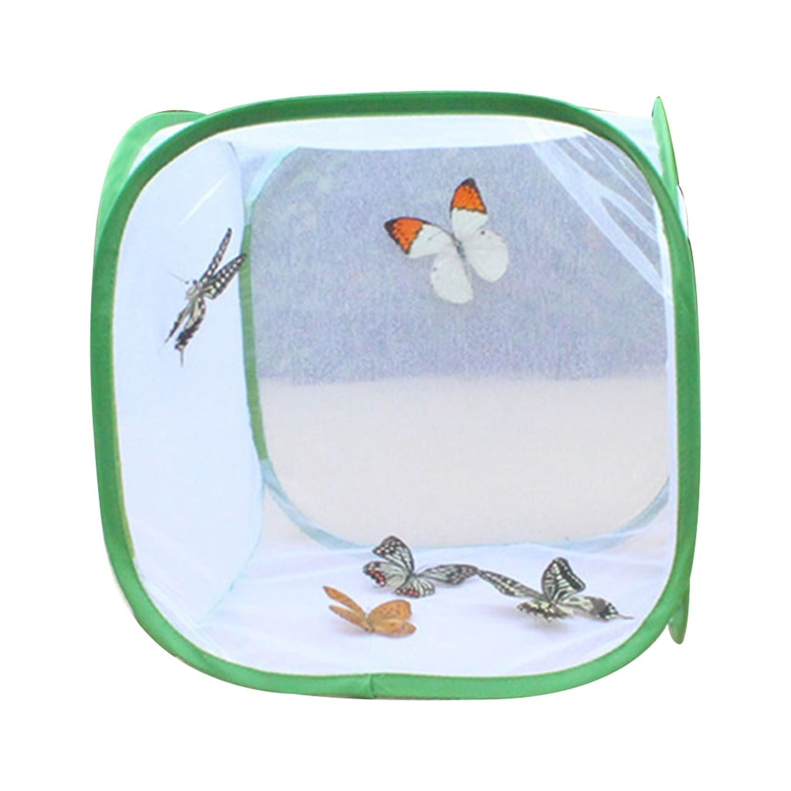 Collapsible Butterfly Habitat Butterfly Cage Insect Mesh Plant Cage