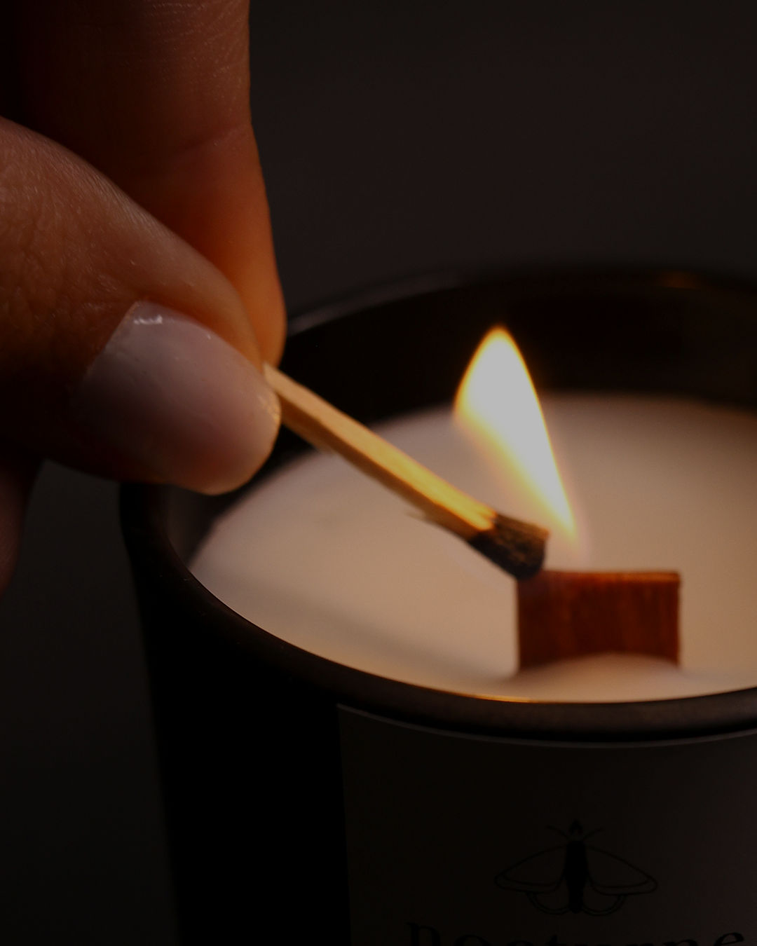 Nocturne Sweet Infusion - Aromatic Candle