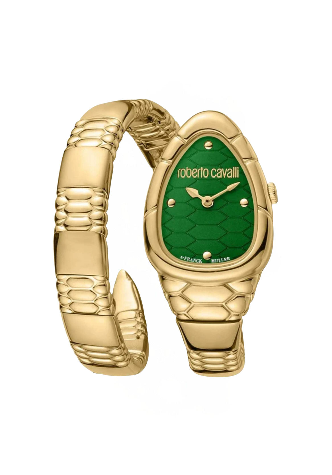 Roberto Cavalli Womens watch RV1L184M0041