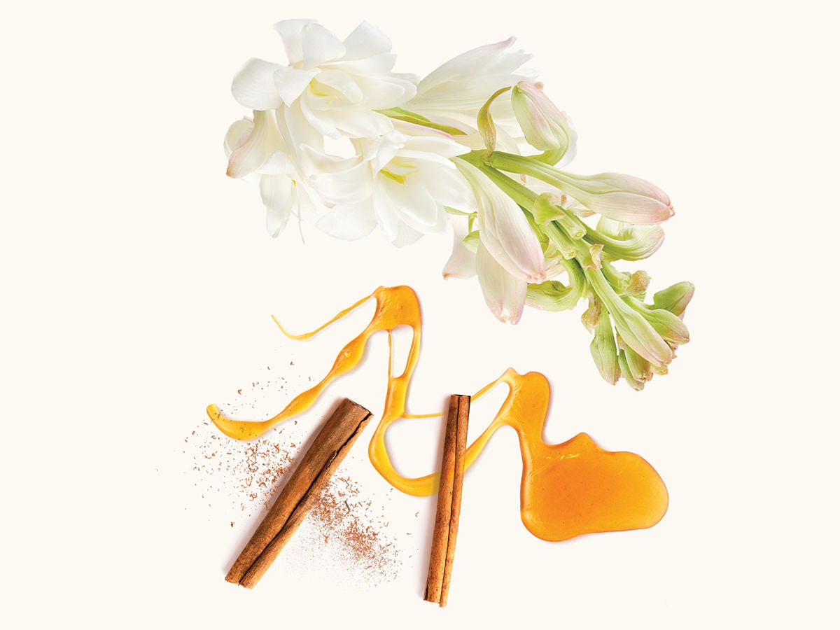 Black V Extrait de Parfum 50ml