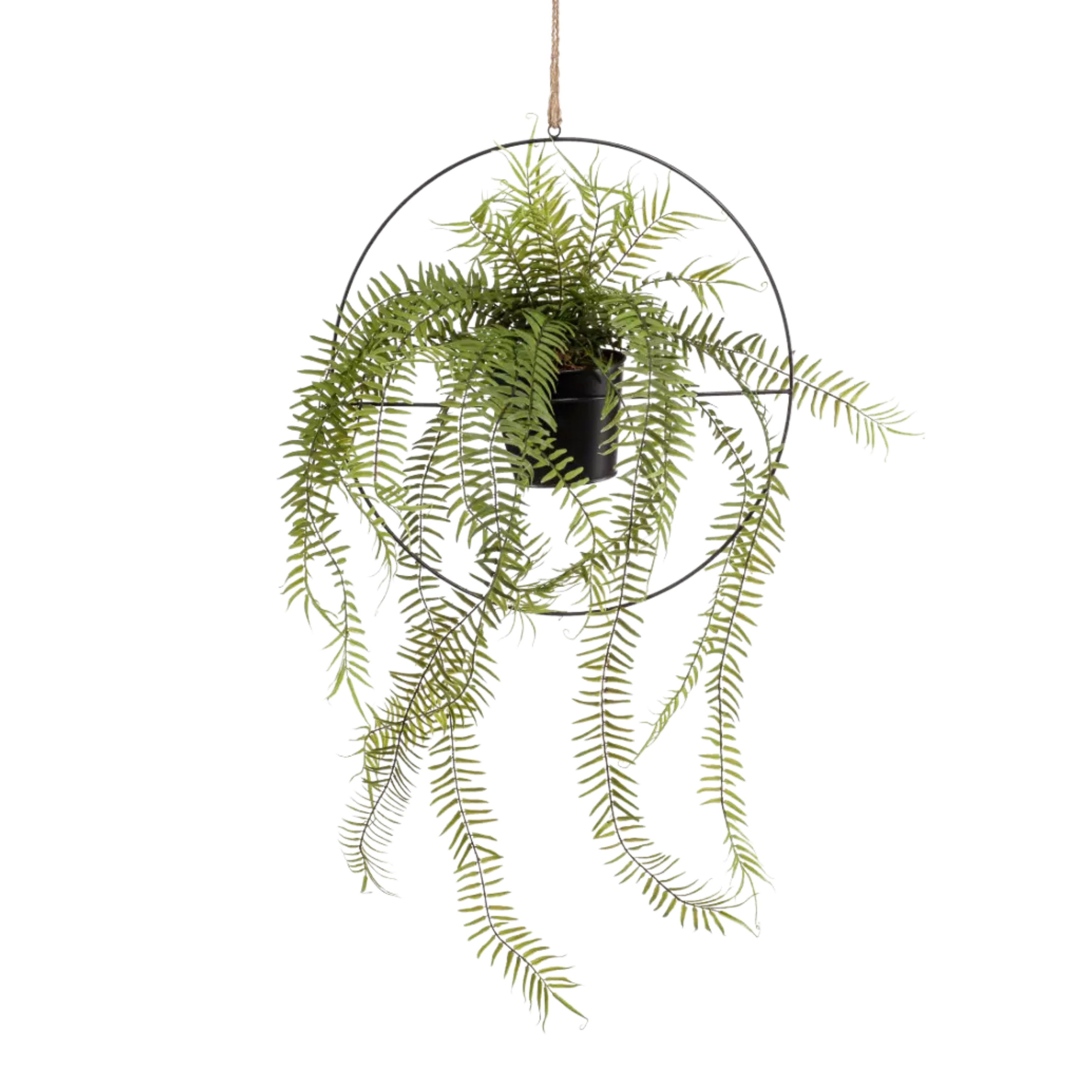 Fern in Metal Hanging Ring