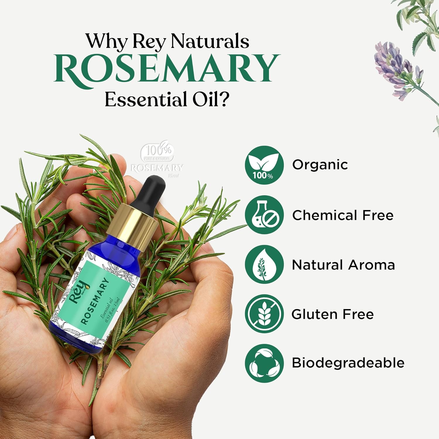 Rey Naturals Rosemary essential oil for hair growth, Skin and Aroma  15 ml