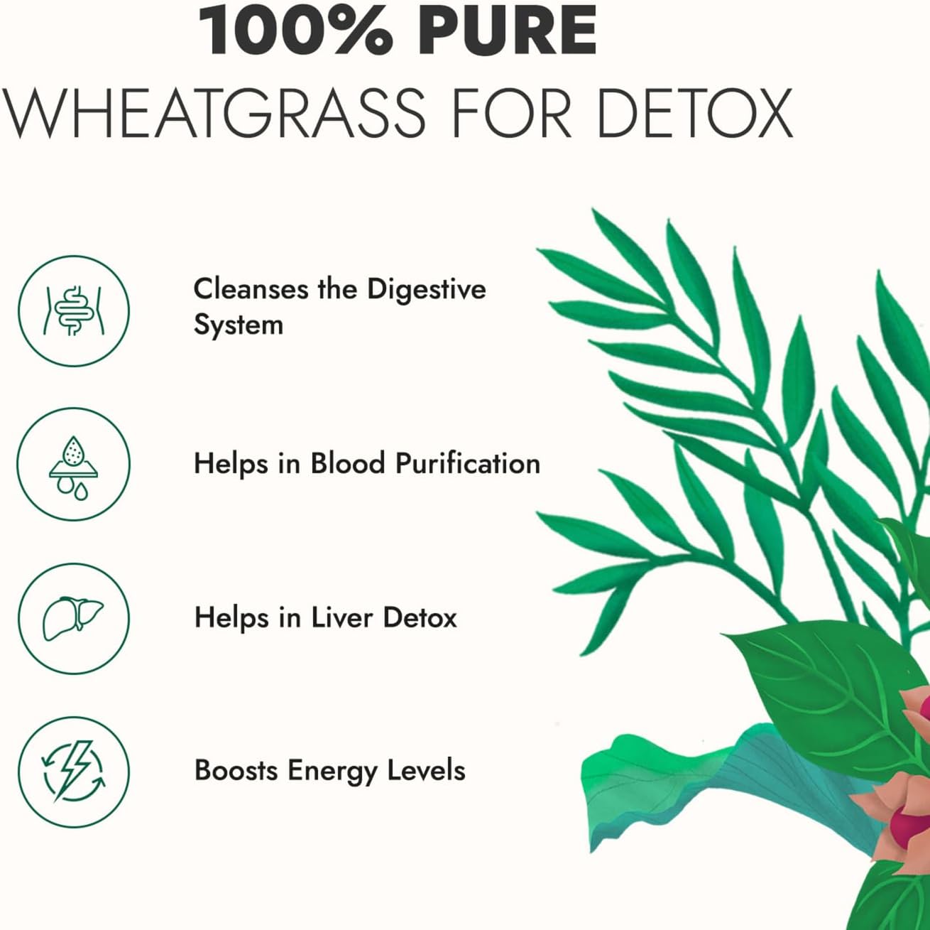 عصير الصبار + عصير القمح من Kapiva | مزيج أيورفيدا لتحسين الهضم والعافية العامة والعناية بالبشرة (1 لتر + 1 لتر) 1 لتر (عبوة من 2)